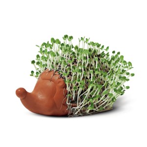 Katy Pearson Cress Plant Pot