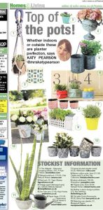 The Echo, Katy Pearson