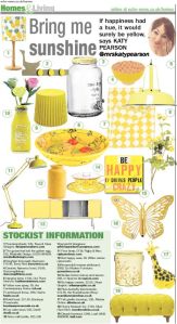 The Echo - Katy Pearson