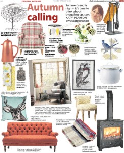 Chelmsford Weekly News, Katy Pearson