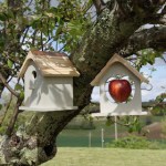 Nesting Box and Apple Feeder