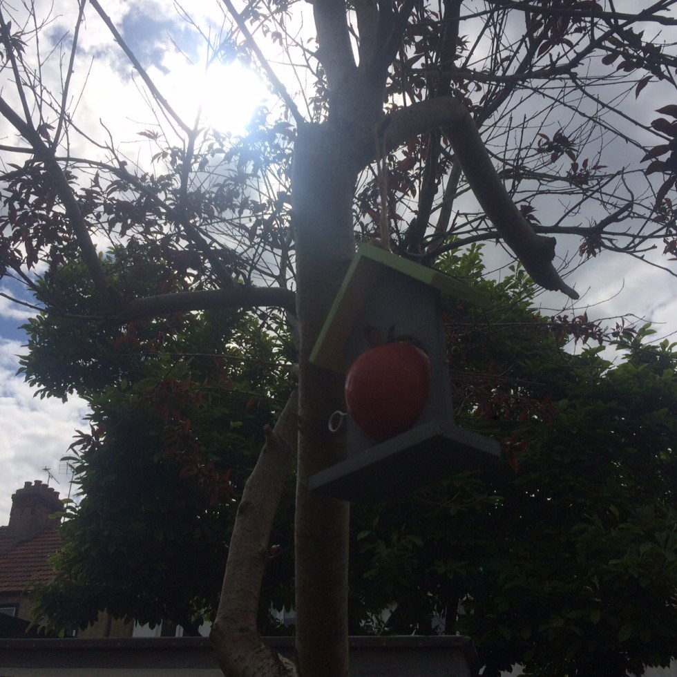 fruit feeder, Boxwild, Katy Pearson #whatkatydid