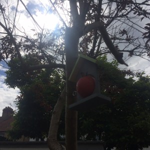 fruit feeder, Boxwild, Katy Pearson #whatkatydid