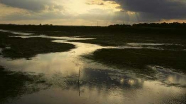Northey Island , National Trust, Essex, #whatkatydid