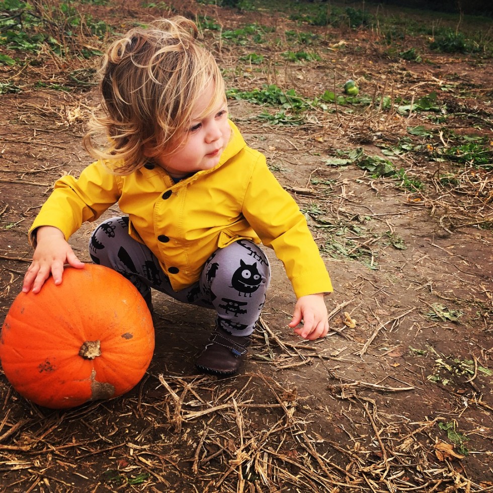 Katy Pearson, Sonny Jim, pumpkin, Look What Panda Made