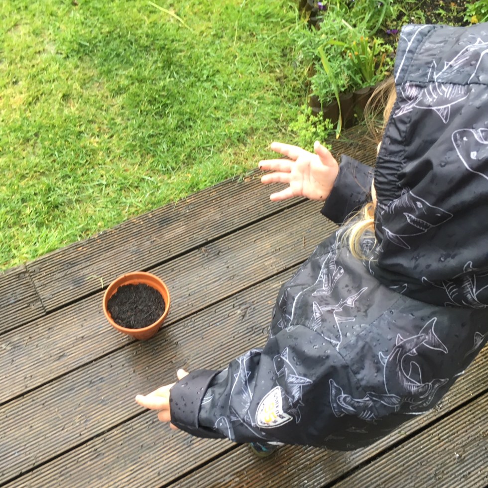 Sonny Jim, #gethemgrowing, Katy Pearson