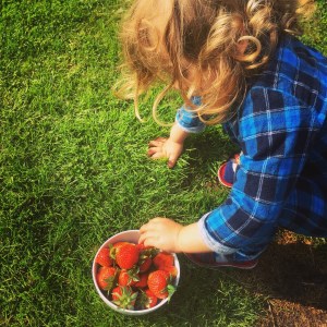 Katy Pearson, Sonny Jim, #whatkatydidUK