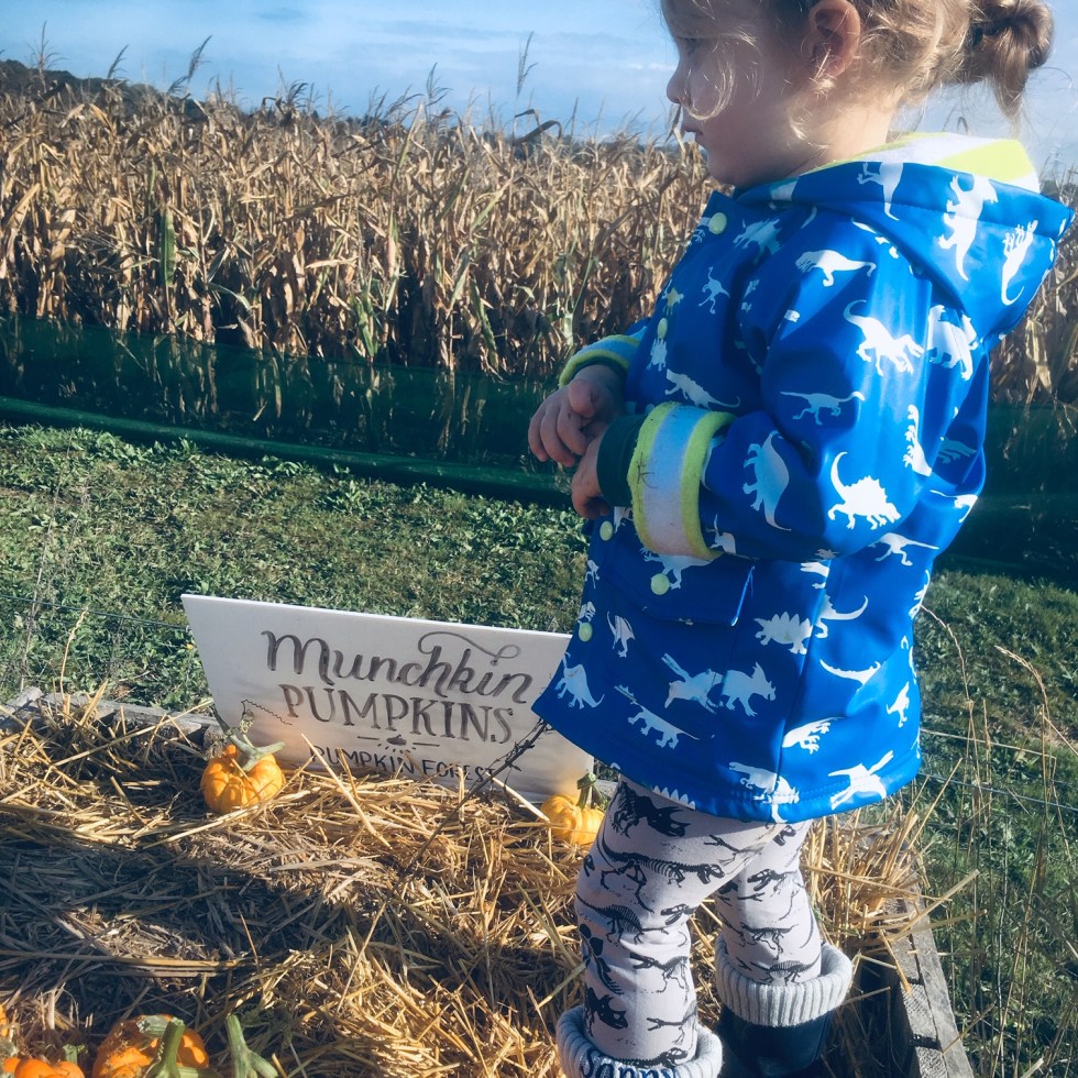 Sonny Jim, Katy Pearson, #whatkatydidUK